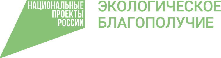 Федеральная кампания «БумБатл».